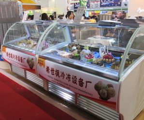 ice cream display freezer singapore